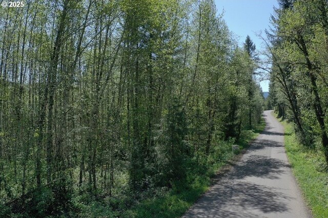 0 NE Elliott Rd Unit 66, Yacolt, WA 98675