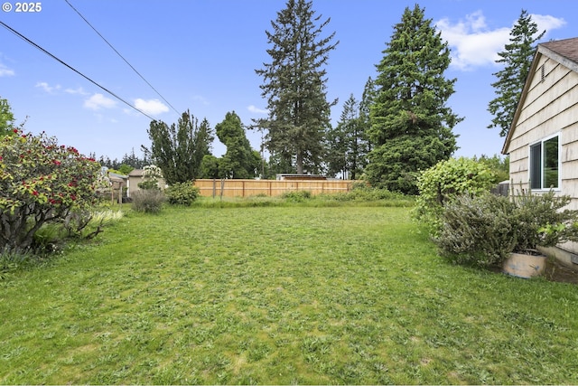 view of yard