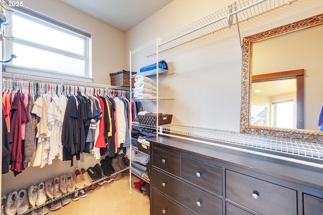 walk in closet featuring carpet floors