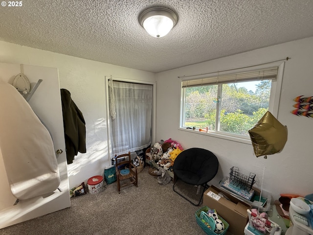 miscellaneous room with carpet floors and a textured ceiling