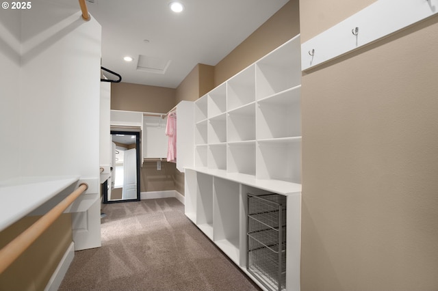 4018 NW Riggs Dr, Portland, OR 97229 - walk in closet featuring wine cooler, carpet floors, and attic access