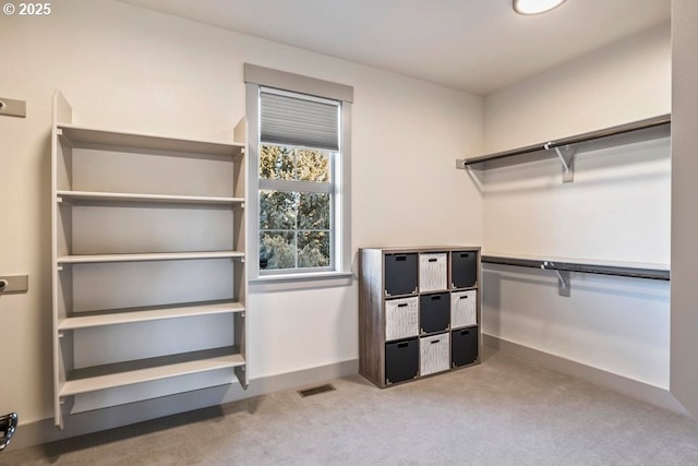 spacious closet featuring light carpet