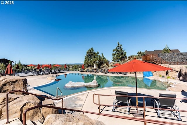 view of swimming pool with a patio