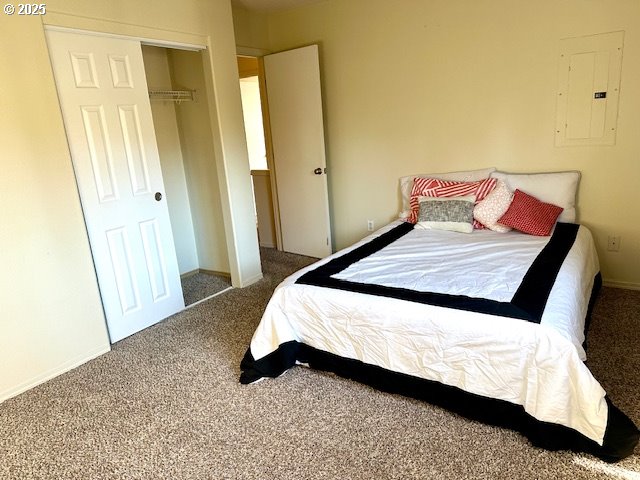 carpeted bedroom with electric panel and a closet