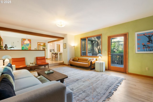 living area featuring baseboards and wood finished floors
