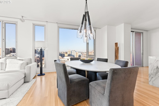 dining area with light hardwood / wood-style flooring