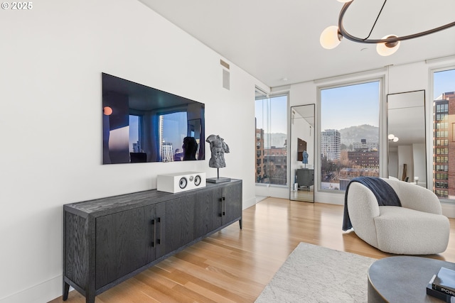 living room with light hardwood / wood-style flooring and expansive windows