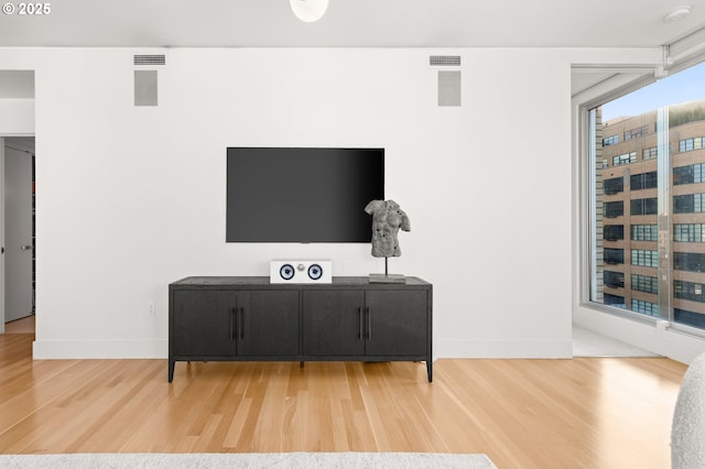 living room featuring wood-type flooring