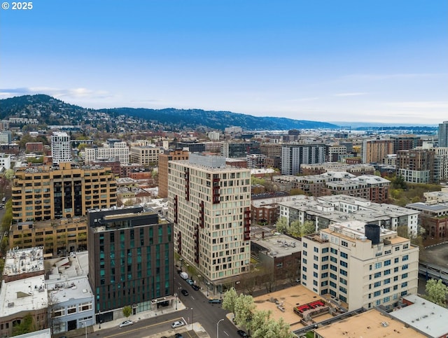 property's view of city featuring a mountain view