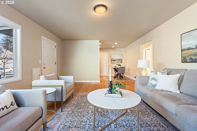 living room with hardwood / wood-style flooring