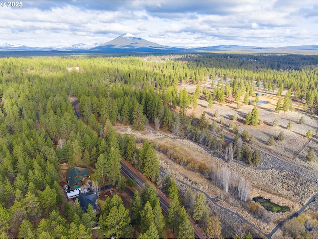 aerial view with a forest view and a mountain view