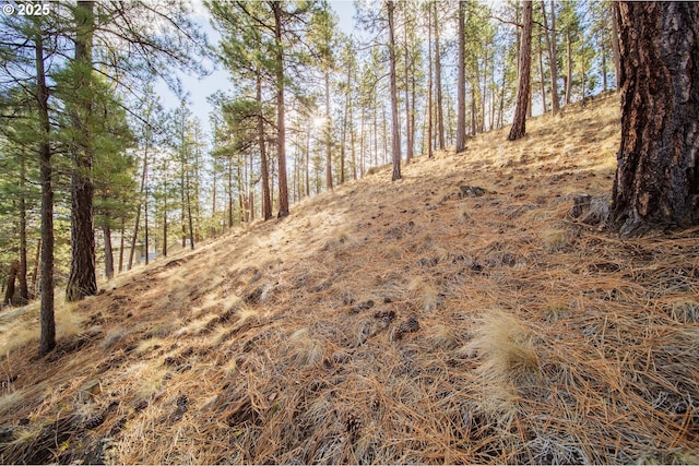 view of local wilderness