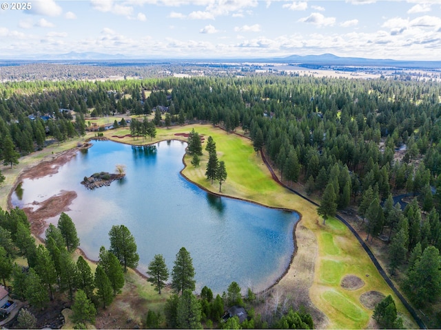 bird's eye view with a forest view and a water and mountain view