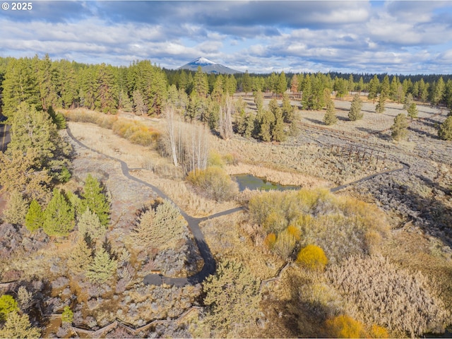 aerial view featuring a mountain view and a forest view