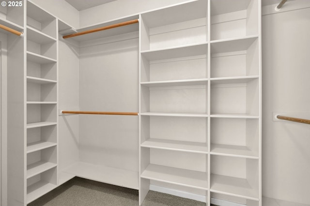 3435 Meadow View Dr, Eugene, OR 97408 - view of walk in closet