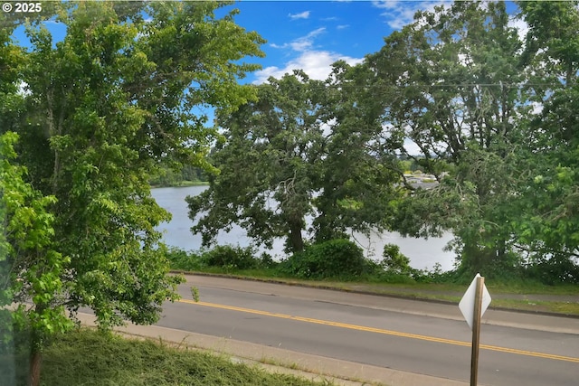 3435 Meadow View Dr, Eugene, OR 97408 - water view