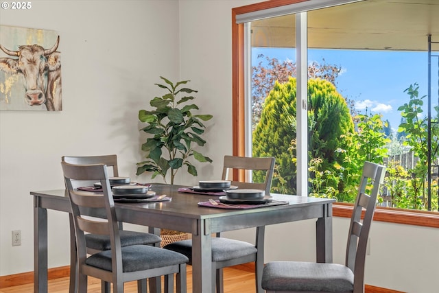 dining space featuring wood finished floors