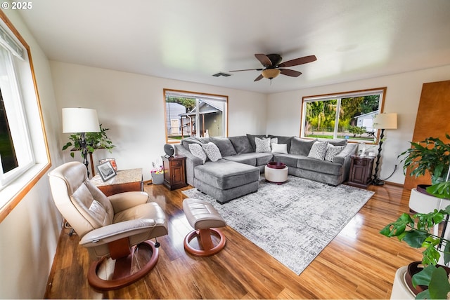 living room featuring ceiling fan, plenty of natural light, and light hardwood / wood-style flooring