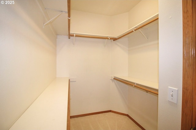 spacious closet featuring light colored carpet