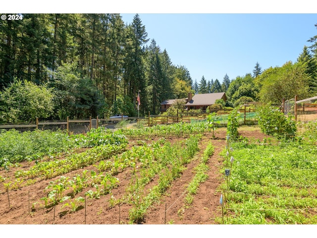 view of yard with a garden and fence