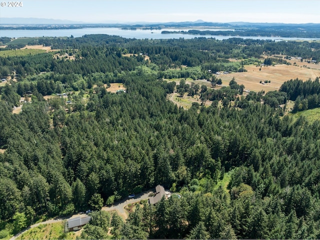 bird's eye view with a view of trees and a water and mountain view