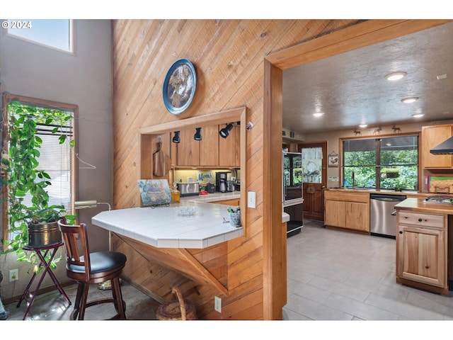 kitchen featuring a sink, wooden walls, appliances with stainless steel finishes, and a healthy amount of sunlight