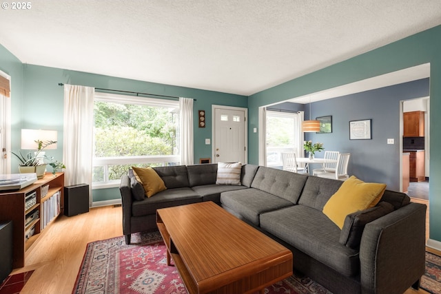 living area with light wood finished floors