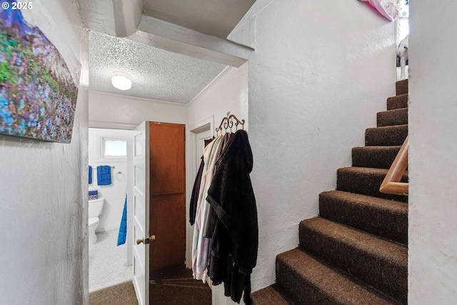 stairway with a textured ceiling and a textured wall
