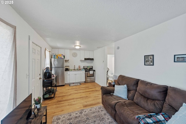 living area with light wood finished floors and a textured ceiling
