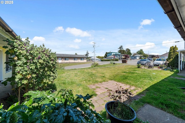 view of grassy yard