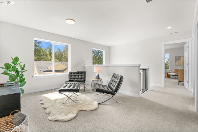 sitting room with light carpet