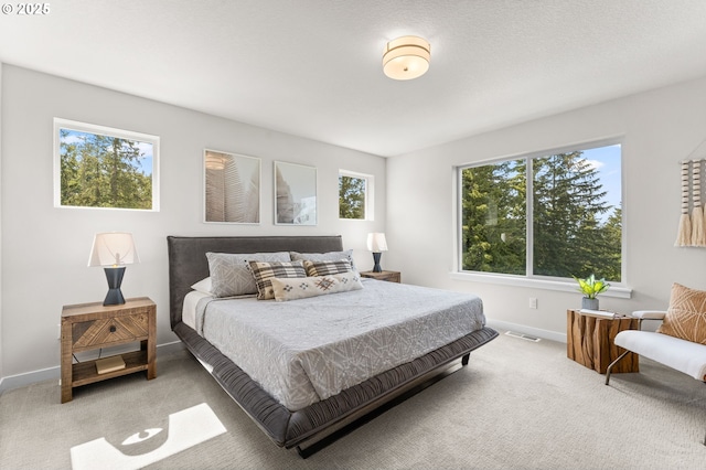 bedroom featuring carpet floors