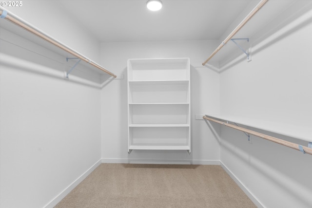 walk in closet with carpet floors