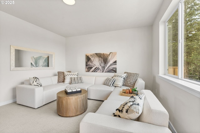 view of carpeted living room