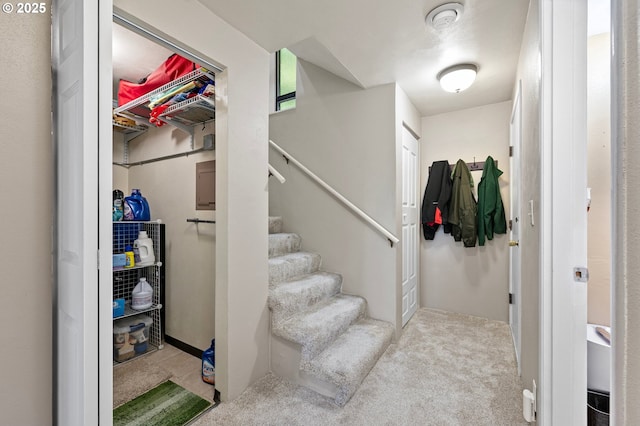 151 Treehill Loop, Eugene, OR 97405 - stairs with carpet flooring