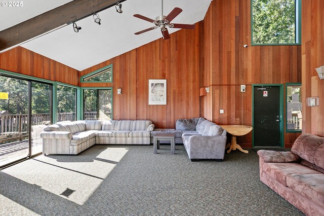 151 Treehill Loop, Eugene, OR 97405 - carpeted living area with high vaulted ceiling, wood walls, healthy amount of natural light, a ceiling fan, and track lighting
