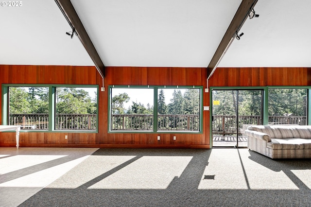 151 Treehill Loop, Eugene, OR 97405 - unfurnished sunroom with track lighting, wooden walls, and carpet floors