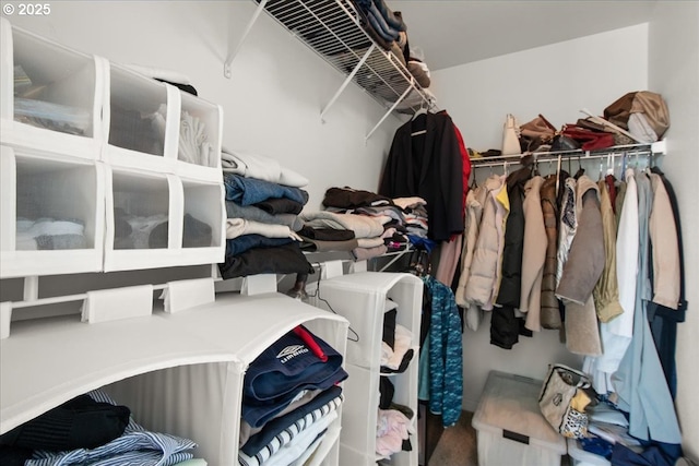 10238 NE Snoqualmie St, Hillsboro, OR 97006 - spacious closet with carpet