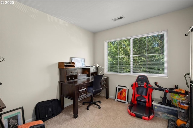 10238 NE Snoqualmie St, Hillsboro, OR 97006 - home office featuring carpet flooring and baseboards