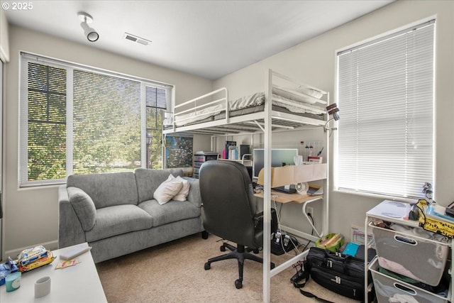 10238 NE Snoqualmie St, Hillsboro, OR 97006 - carpeted bedroom featuring multiple windows and a desk
