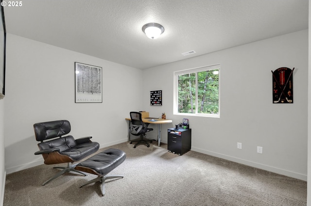 1345 Skyline Park Loop, Eugene, OR 97405 - carpeted office space featuring baseboards and a textured ceiling