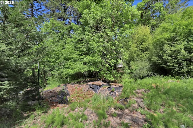 1345 Skyline Park Loop, Eugene, OR 97405 - view of woods