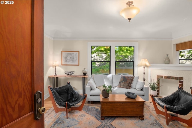 living area with ornamental molding, wood finished floors, and baseboards