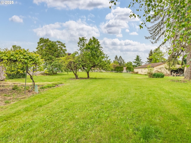 view of grassy yard