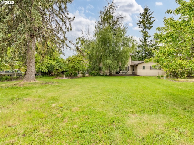 view of grassy yard