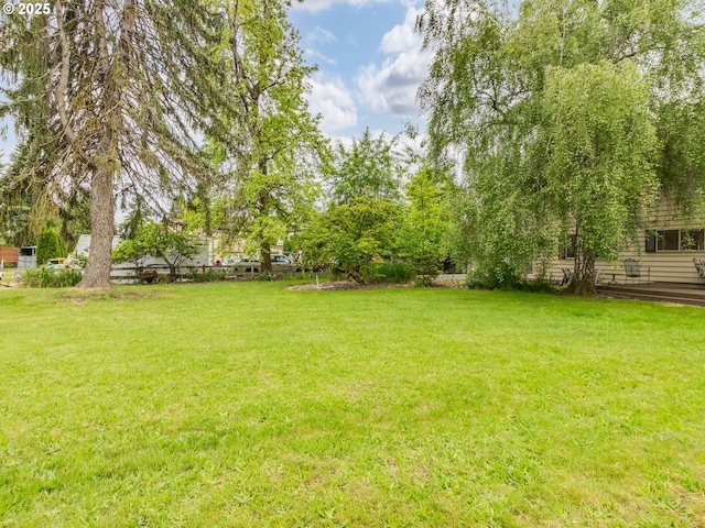 view of green lawn
