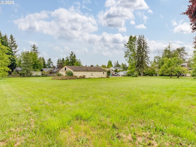 view of grassy yard