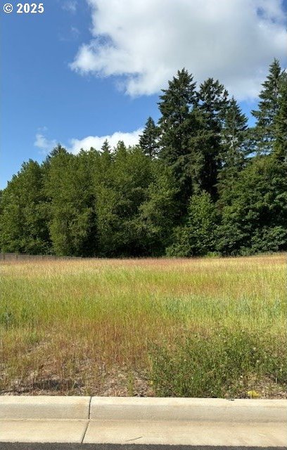 1487 N Millican Creek St, Lafayette, OR 97127 - view of tree filled area