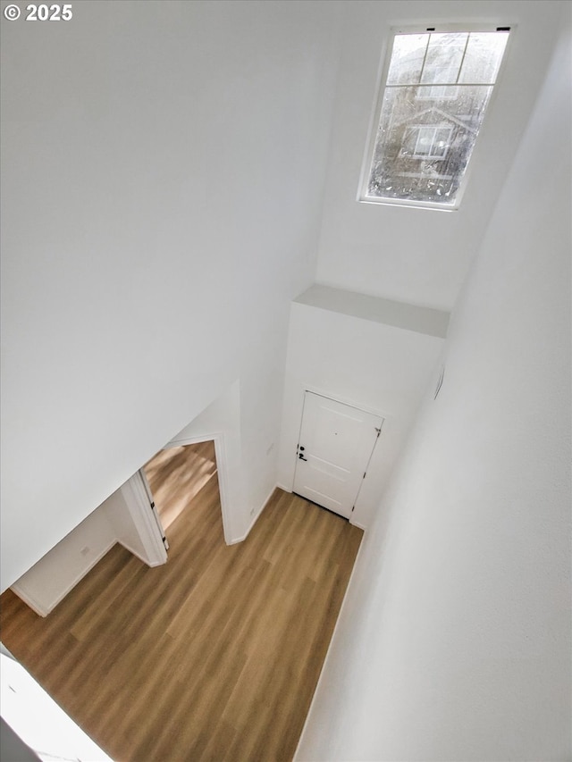 stairs with wood-type flooring