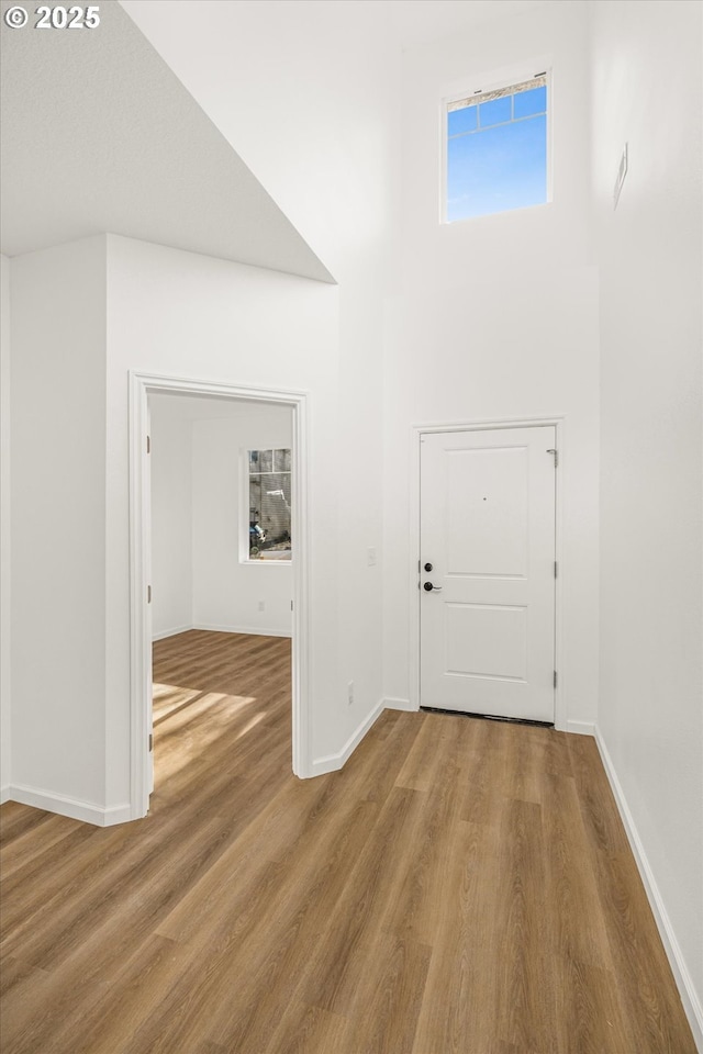 foyer with hardwood / wood-style flooring and a towering ceiling